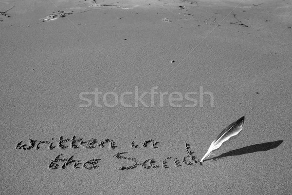 written in the sand with feather quill greyscale Stock photo © morrbyte