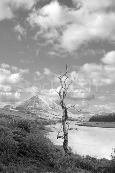 Errigal mountains and countryside in county Donegal Stock photo © morrbyte