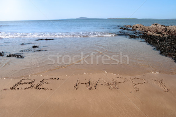 be happy Stock photo © morrbyte