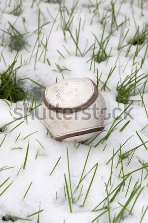 Größe irish Leder Ball Schnee bedeckt Stock foto © morrbyte