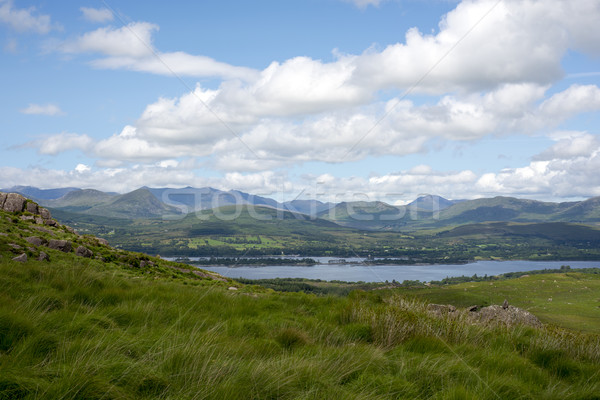 mountain view with blue sky Stock photo © morrbyte