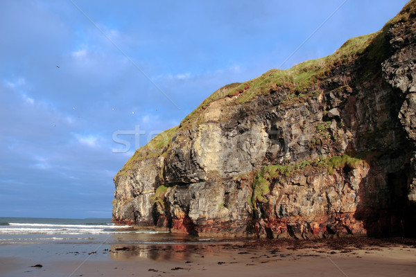 Strand Klippe Ansicht Klippen Irland Fülle Stock foto © morrbyte