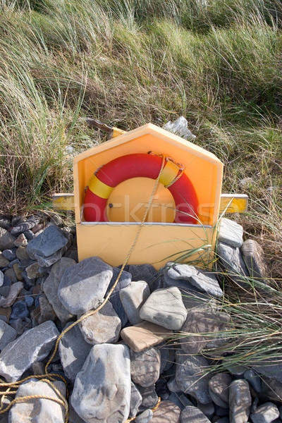 beach lifebuoy buried in the stones Stock photo © morrbyte