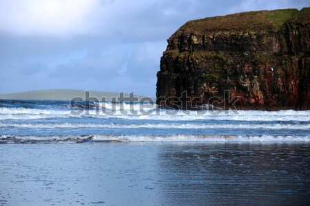 birds waves and cliffs Stock photo © morrbyte