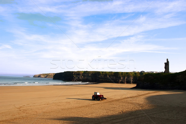  beach clean Stock photo © morrbyte