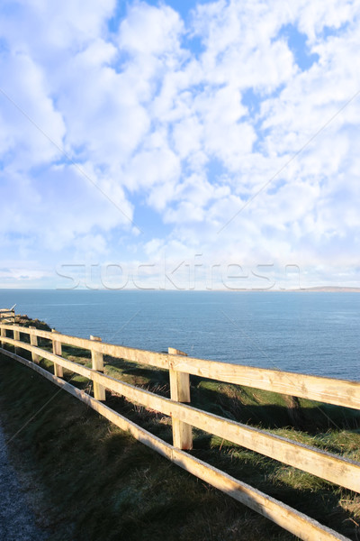 cold frosty winters cliff walk  Stock photo © morrbyte