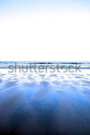 windswept winter beach view Stock photo © morrbyte