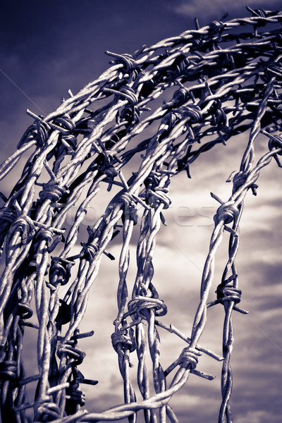 coil of blue toned barbed wire Stock photo © morrbyte