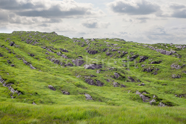 mountain view from the kerry way Stock photo © morrbyte