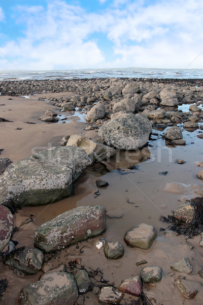 grey beach rocks Stock photo © morrbyte