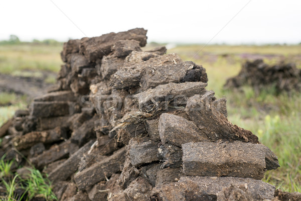 turf stacked up for the bog winds to dry Stock photo © morrbyte