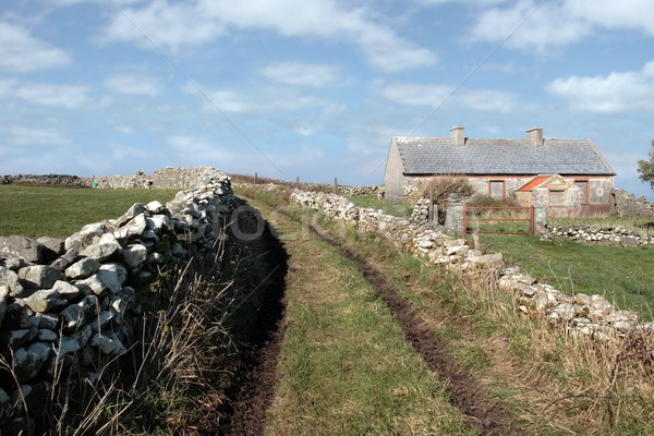Aufgegeben Haus verfallen irish Landschaft Gras Stock foto © morrbyte