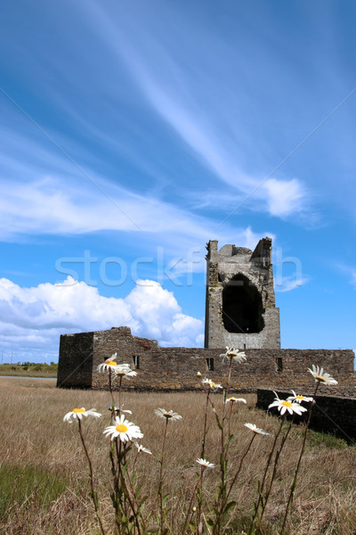 Château tour marguerites ruines rectangulaire partie Photo stock © morrbyte
