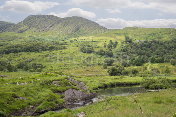 river and lake on the kerry way Stock photo © morrbyte