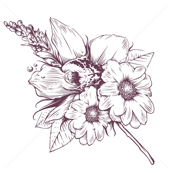 Vintage Vector Flowers Stock photo © morys