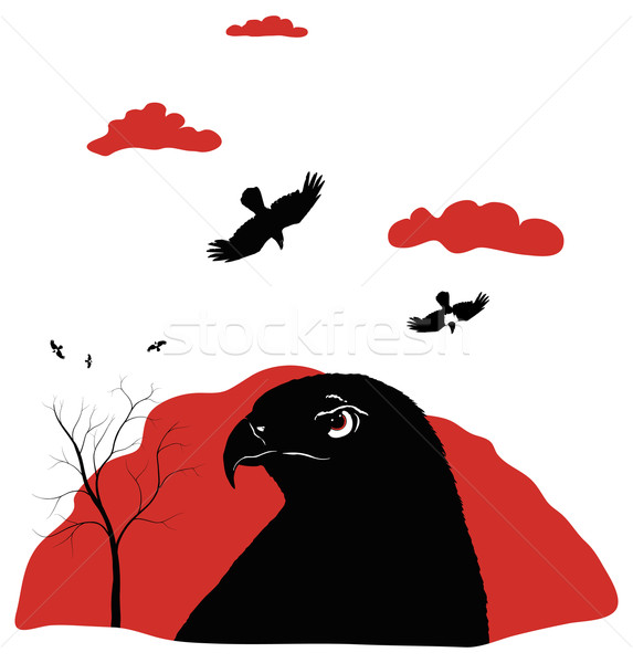 birds of prey on red Stock photo © motttive
