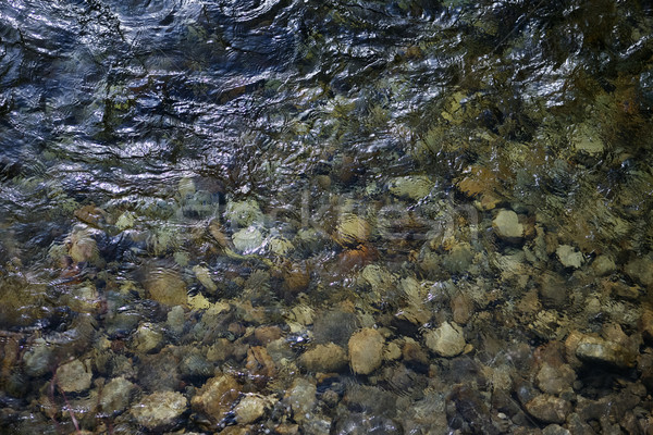 Pebble in norway mountain river. Scandinavia Stock photo © motttive