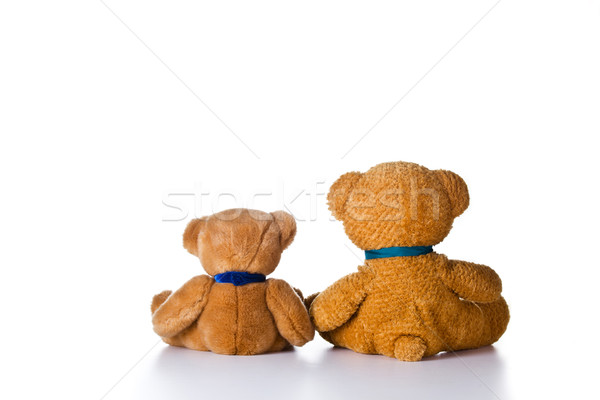 Dwa mały niedźwiedzie cute Zdjęcia stock © mpessaris