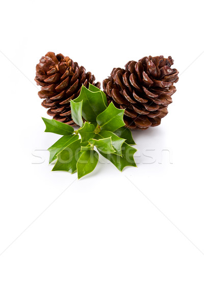 Crăciun pin fotografie decoratiuni alb Imagine de stoc © mpessaris