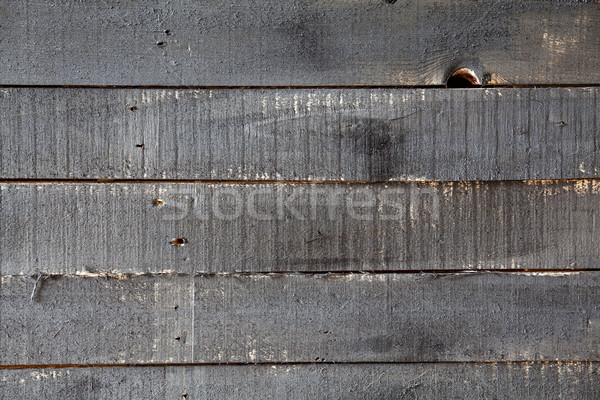 Horizontal Wood Texture Stock photo © mpessaris