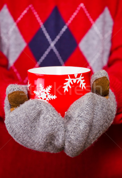 Sıcak içmek kış eller Stok fotoğraf © mpessaris