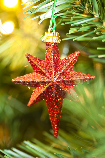 Shinny Christmas Star Stock photo © mpessaris