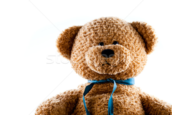 Teddy Bear On The Rise Stock photo © mpessaris