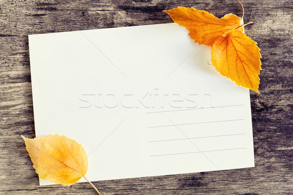 Jesienią kartkę z życzeniami pocztówkę charakter Zdjęcia stock © mpessaris