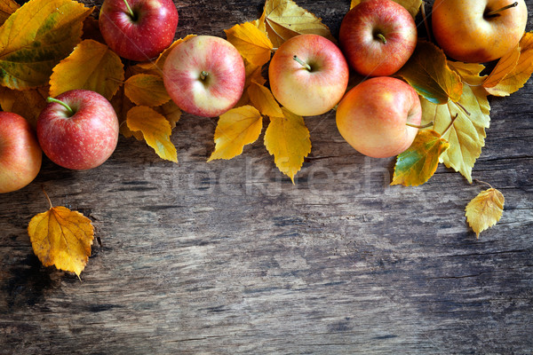 Äpfel Lichtbild farbenreich fallen Hintergrund Stock foto © mpessaris