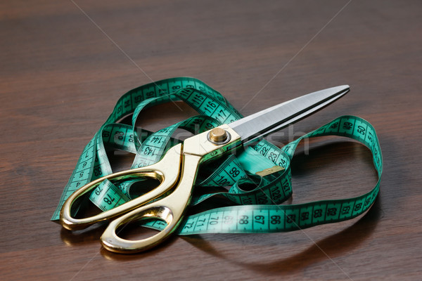 Zawodowych narzędzia cięcie szycia nożyczki elastyczny Zdjęcia stock © mrakor