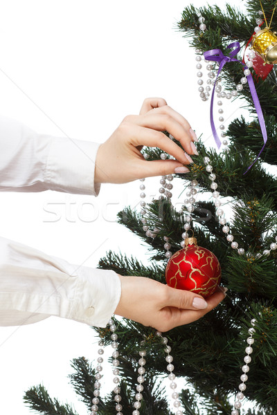 聖誕樹 孤立 白 女子 商業照片 © mrakor