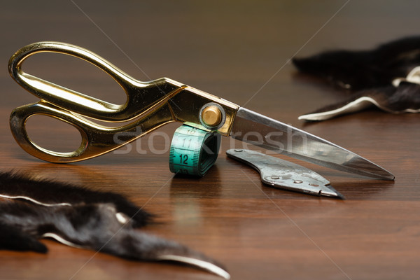 Professional tailor's tools for cutting and sewing Stock photo © mrakor