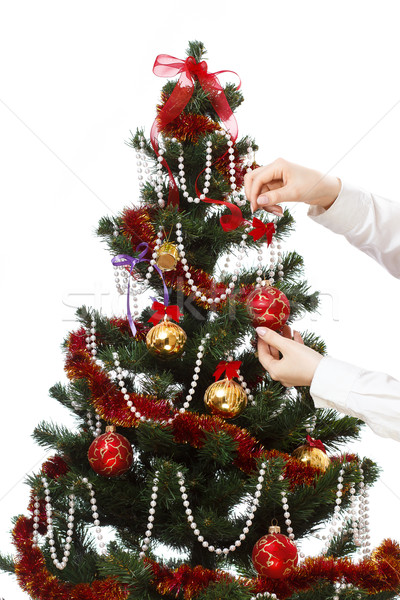 聖誕樹 孤立 白 女子 商業照片 © mrakor