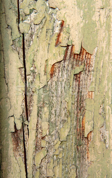 Weathered old painted wood Stock photo © mrakor