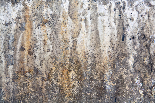 Weathered damaged wall Stock photo © mrakor