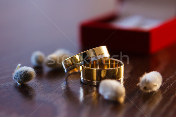 Hermosa anillos de boda macro boda Pareja Foto stock © mrakor