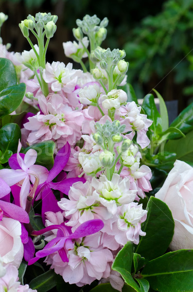 Flower Bouquet Stock photo © mroz