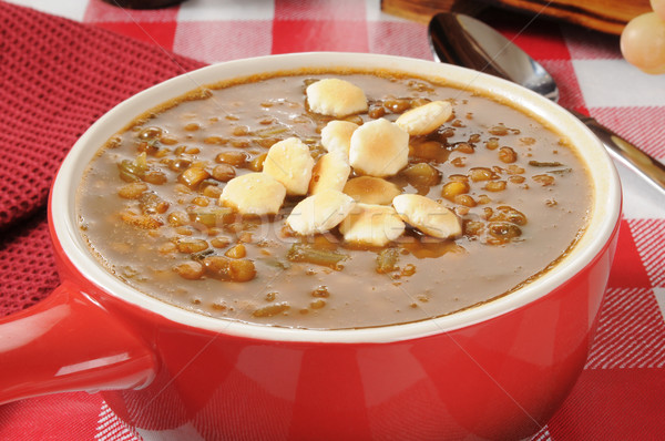 Lentil Soup Stock photo © MSPhotographic