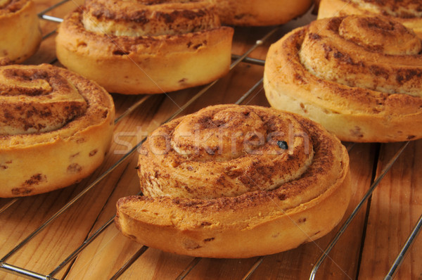 Whole wheat cinnamon rolls Stock photo © MSPhotographic