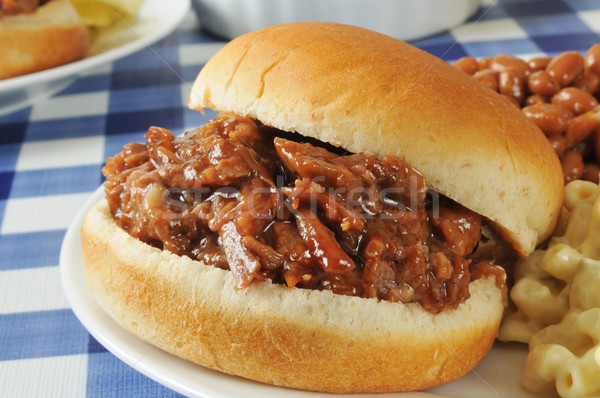 Stock fotó: Barbecue · marhahús · szendvics · közelkép · makaróni · saláta
