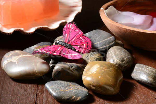 Spa fluture zen pietre apă roşu Imagine de stoc © MSPhotographic