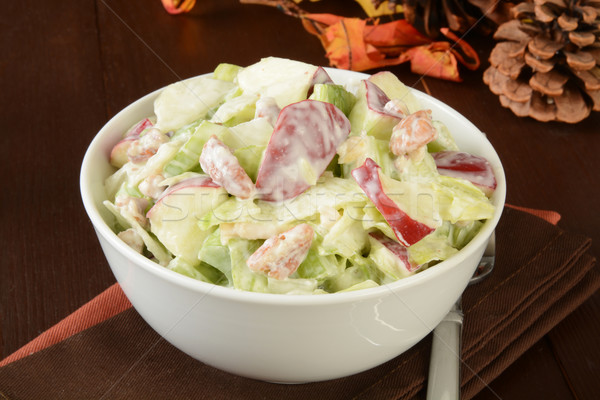 Stockfoto: Saladeschaal · salade · kip · appels · vakantie · maaltijd