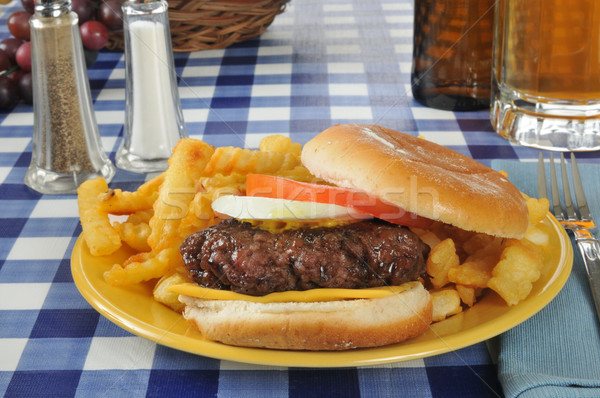 Hamburger bier mok picknicktafel diner Stockfoto © MSPhotographic