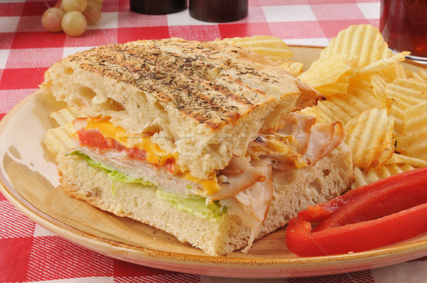 Ham kaas panini picknicktafel vlees tomaat Stockfoto © MSPhotographic