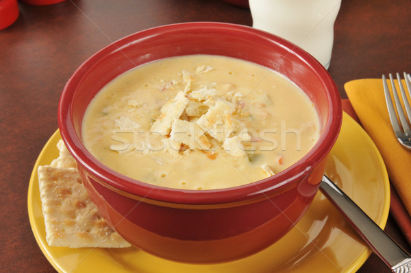 Chicken con queso soup Stock photo © MSPhotographic