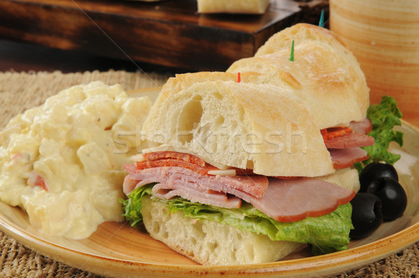 Italian sandwich and potato salad Stock photo © MSPhotographic