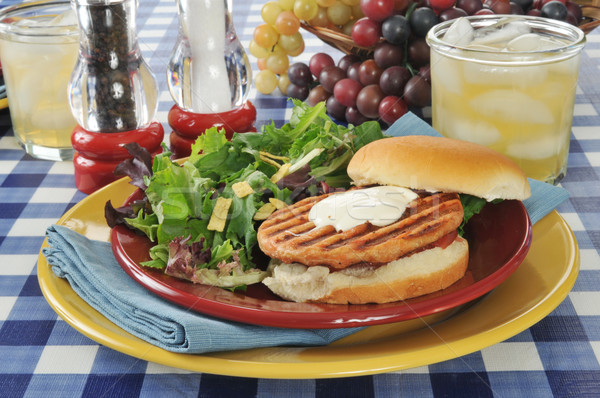 Gegrild zalm hamburger tuin salade picknicktafel Stockfoto © MSPhotographic