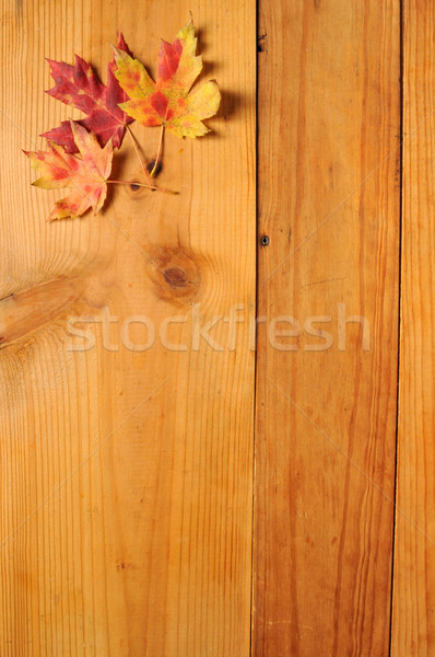 Herbst Blatt Grenze rustikal Holz Textur Stock foto © MSPhotographic