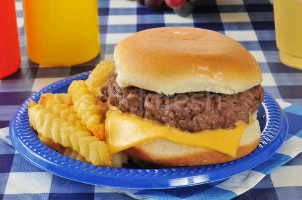 Kaas hamburger cheeseburger frietjes picknicktafel plastic Stockfoto © MSPhotographic