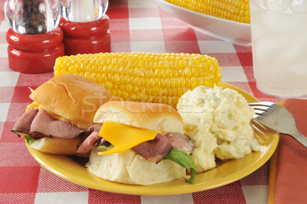 Rundvlees picknicktafel aardappelsalade mais kaas citroen Stockfoto © MSPhotographic